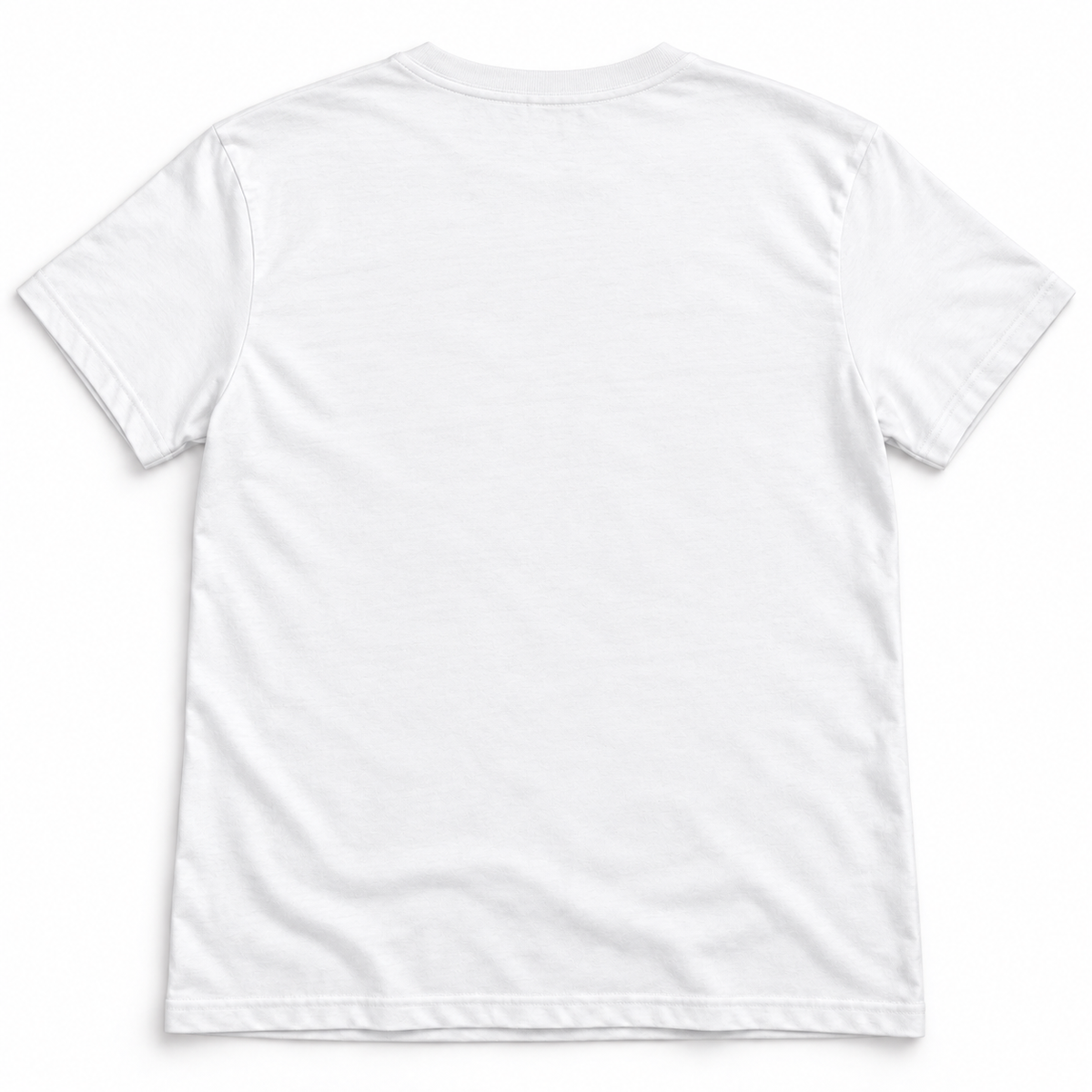 Zeta Phi Beta Intelligent Beautiful Resilient Powerful Finer White T-Shirt