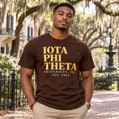 Iota Phi Theta Est. 1963 Brown Fraternity T-Shirt
