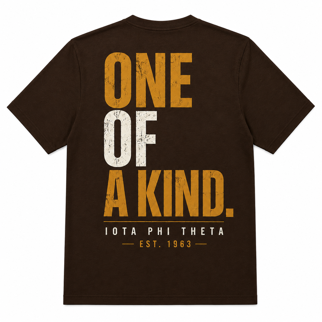 Iota Phi Theta One of a Kind T-Shirt