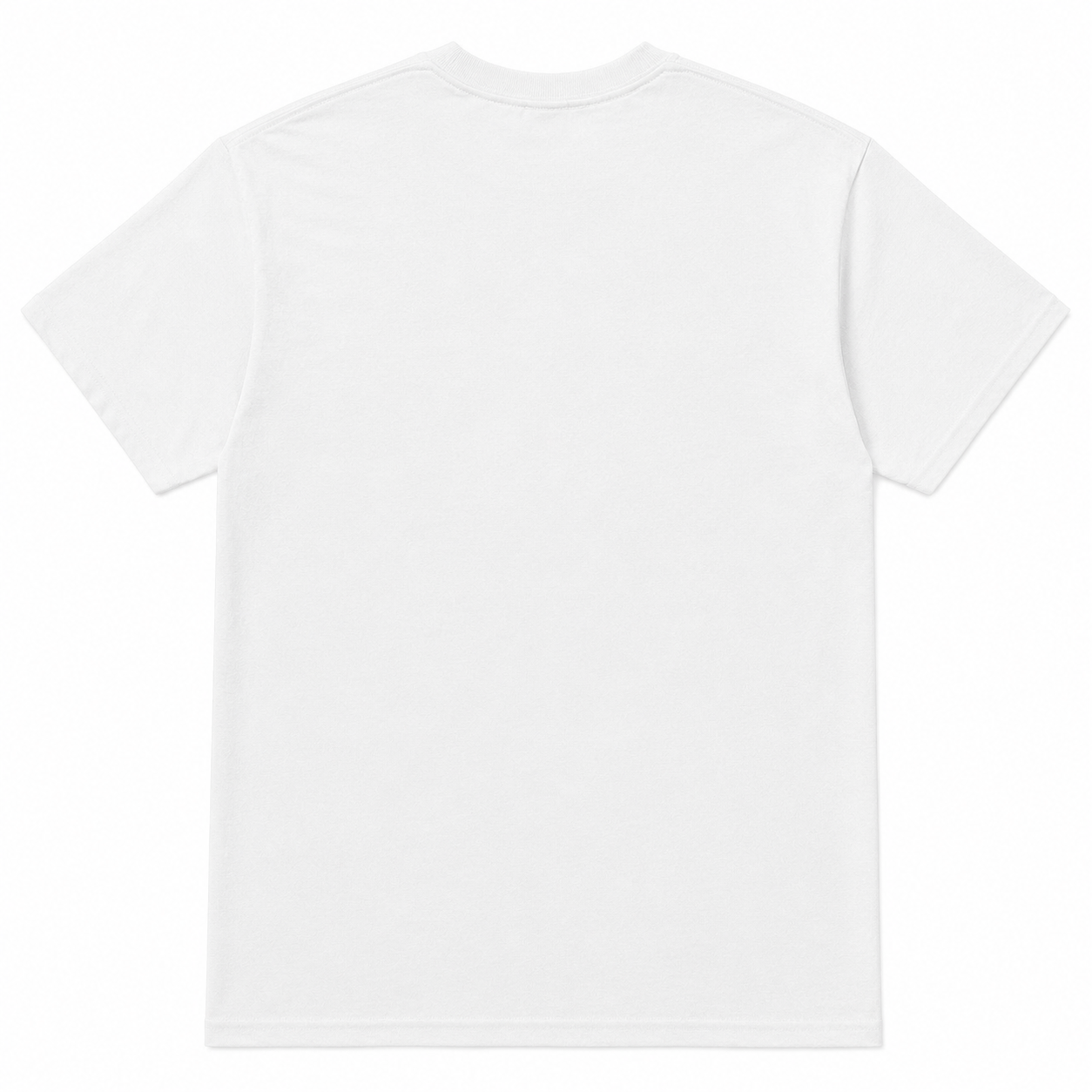 Zeta Phi Beta Scholarship With a Side of Sass White T-Shirt