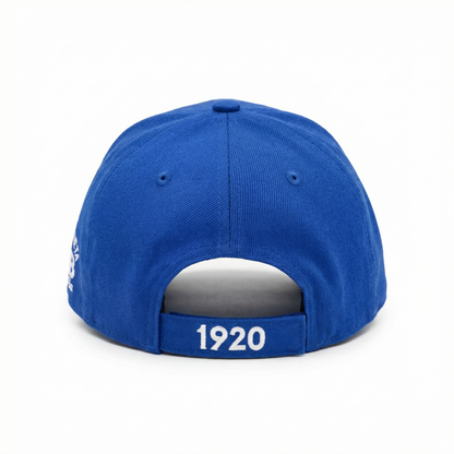 ZPB Shield Cap