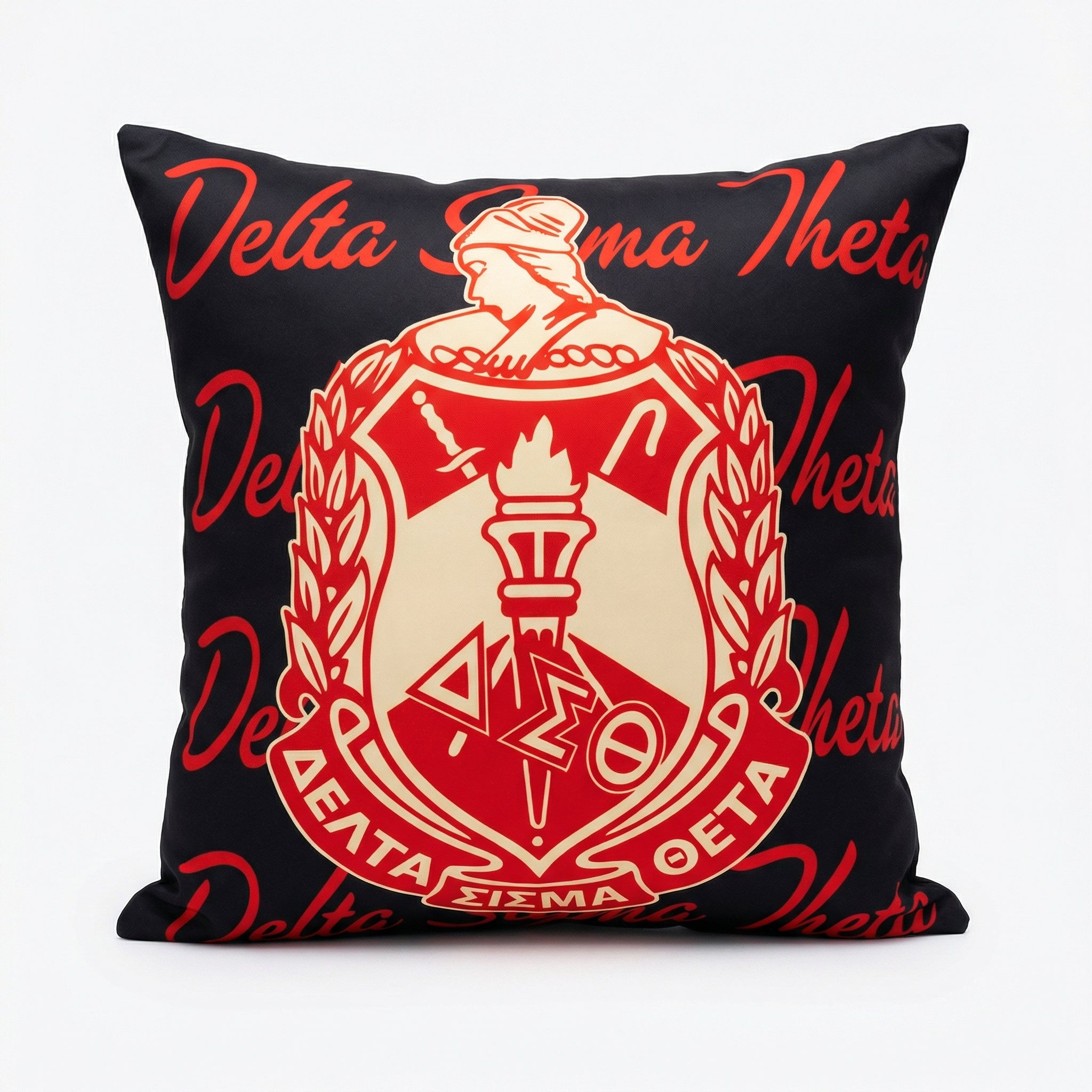 DST Pillows (16 x16 and 22x22 available)